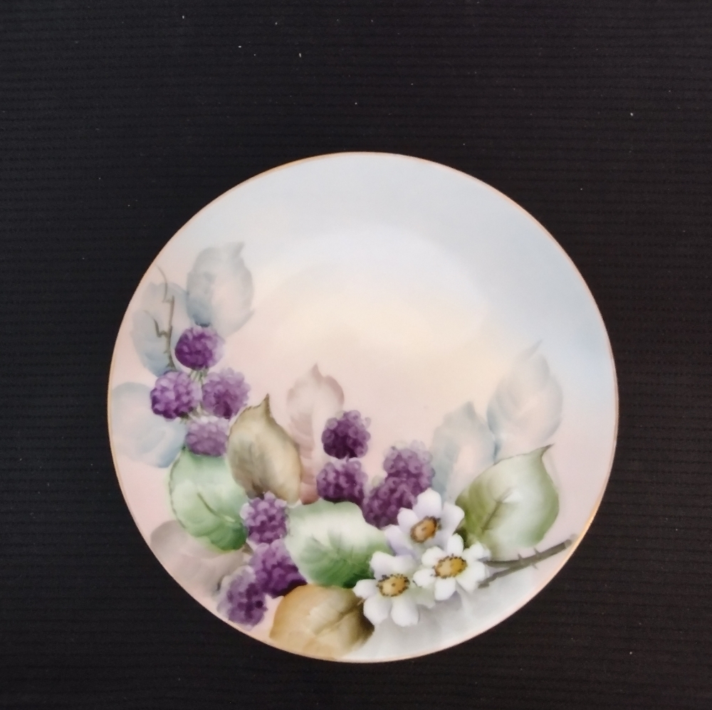 Antique Thomas Sevres Bavaria Plate